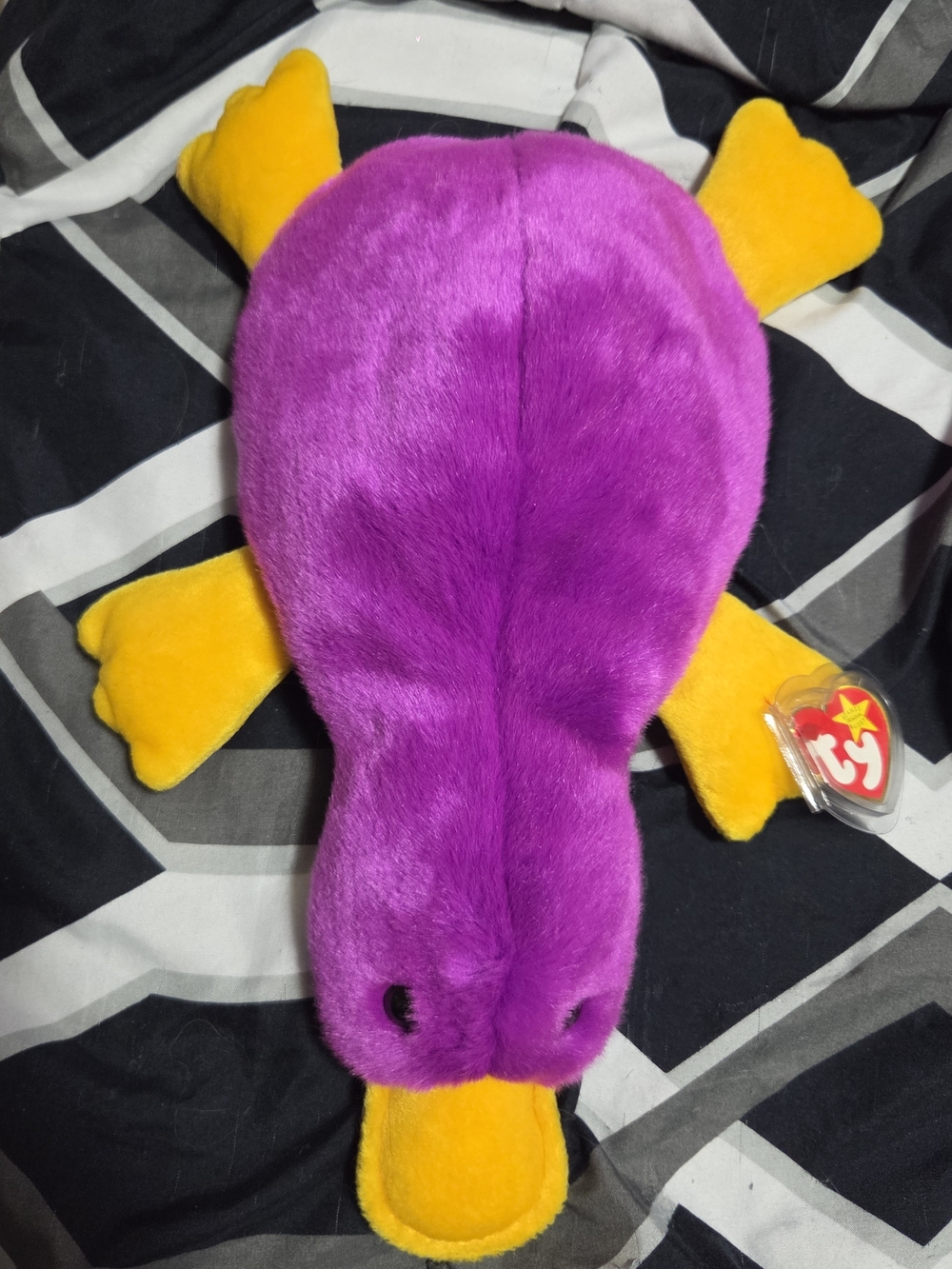 TY Purple Platypus